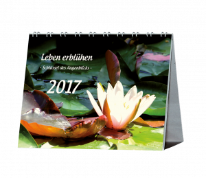 kalender